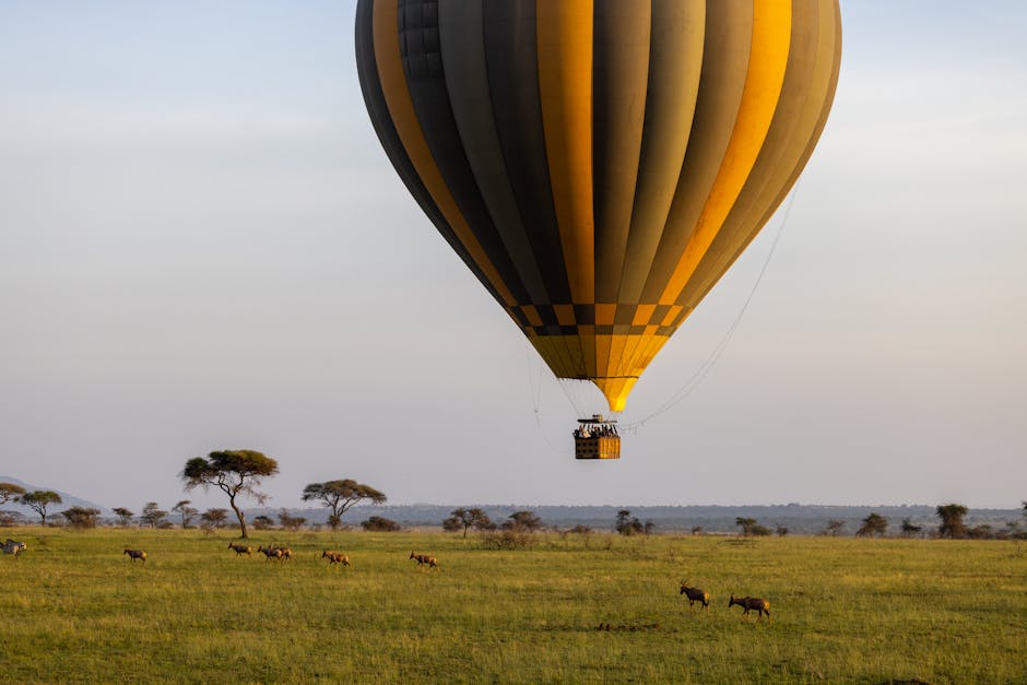 How to Plan the Perfect Safari Adventure in Africa